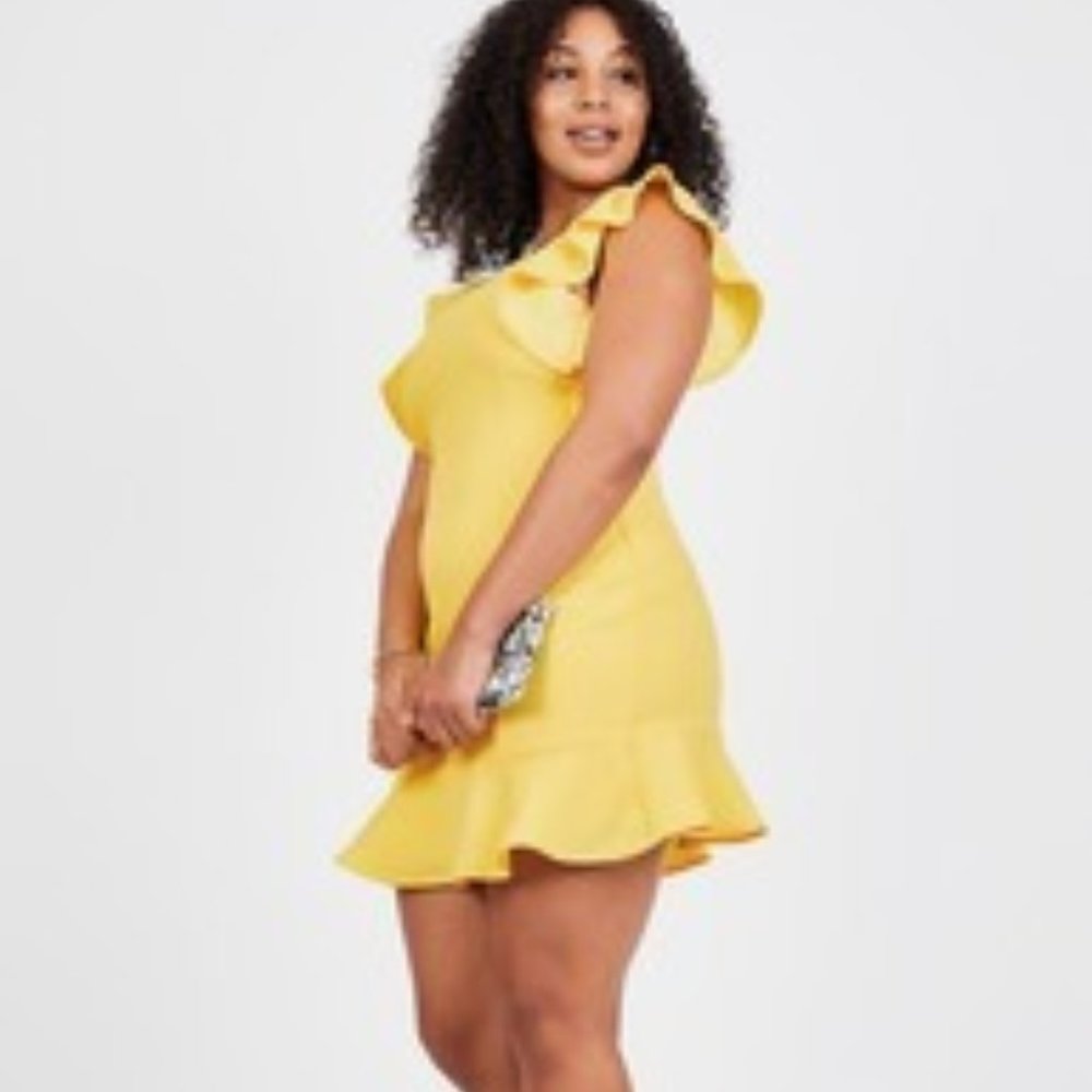 BCBG Ruffle Sleeve Mini Dress